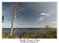 IMG_4184_RD