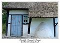 P1000989_RD