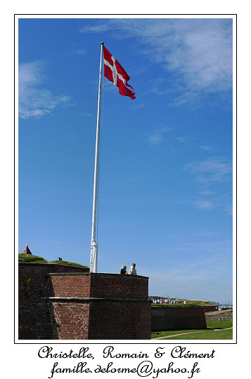 P1010037_RD.jpg