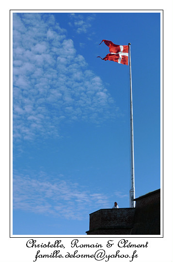P1010043_RD.jpg