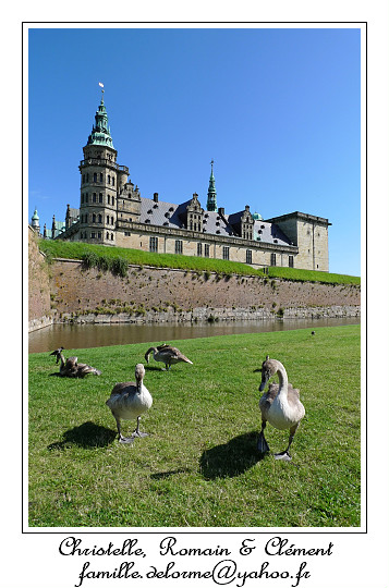 P1010049_RD.jpg