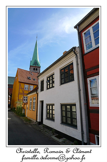 P1010056_RD.jpg