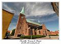 IMG_4196_RD