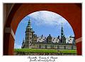 P1010028_RD