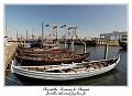 IMG_4200_RD