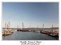 IMG_4207_RD