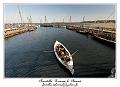 IMG_4208_RD
