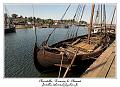 IMG_4218_RD