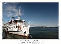 IMG_4229_RD