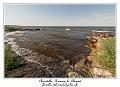 IMG_4238_RD