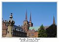 P1010078_RD