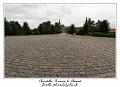 IMG_4242_RD