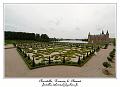 IMG_4333_RD