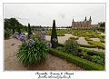 IMG_4342_RD