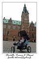 P1010139_RD