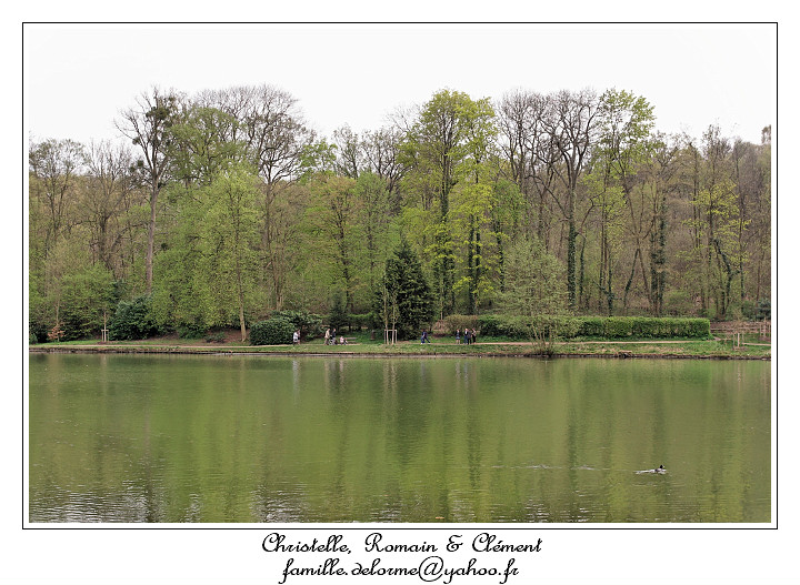 IMG_2685_RD.jpg