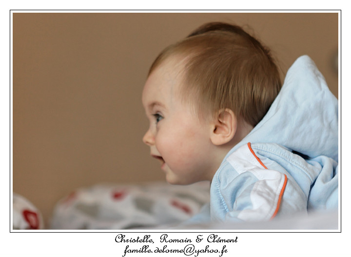 IMG_2305_RD.jpg
