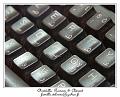 PICT0801