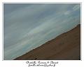 PICT0817