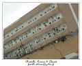 PICT0825