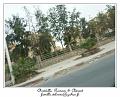 PICT0834