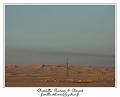 PICT0940