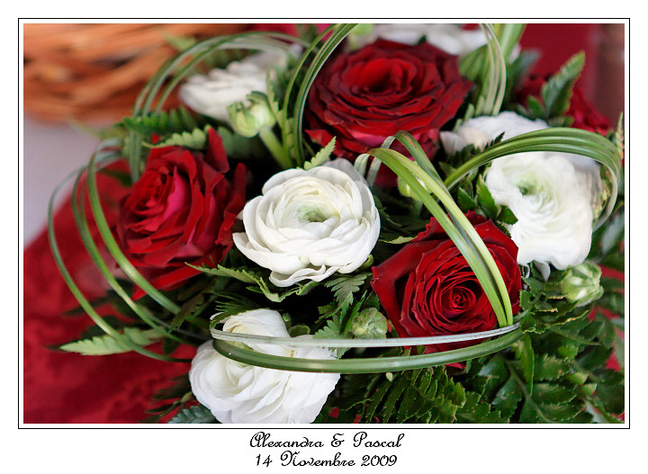 IMG_4985_RD.jpg