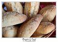IMG_4989_RD