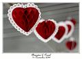 IMG_5005_RD