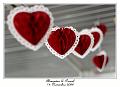 IMG_5007_RD