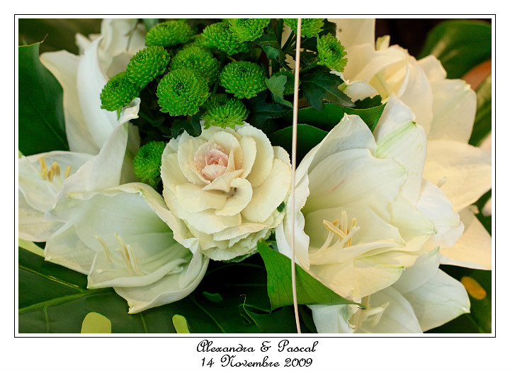 IMG_4804_RD.jpg