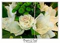 IMG_4804_RD