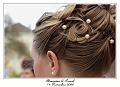 IMG_4910_RD