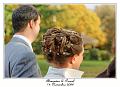 IMG_4956_RD
