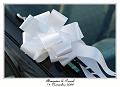 IMG_4976_RD