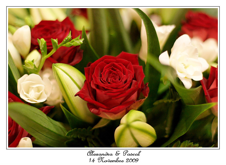 IMG_5085_RD.jpg