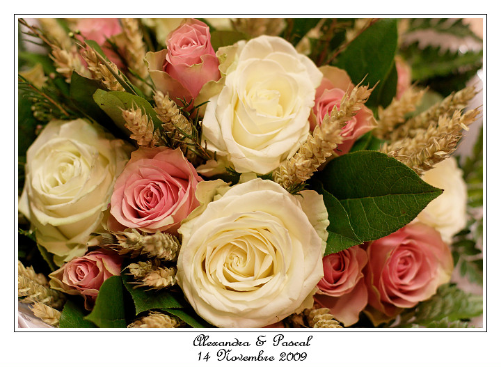 IMG_5087_RD.jpg