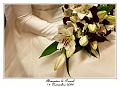 IMG_5068_RD