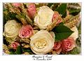 IMG_5087_RD