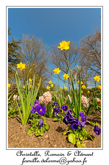 IMG_2643_RD.jpg