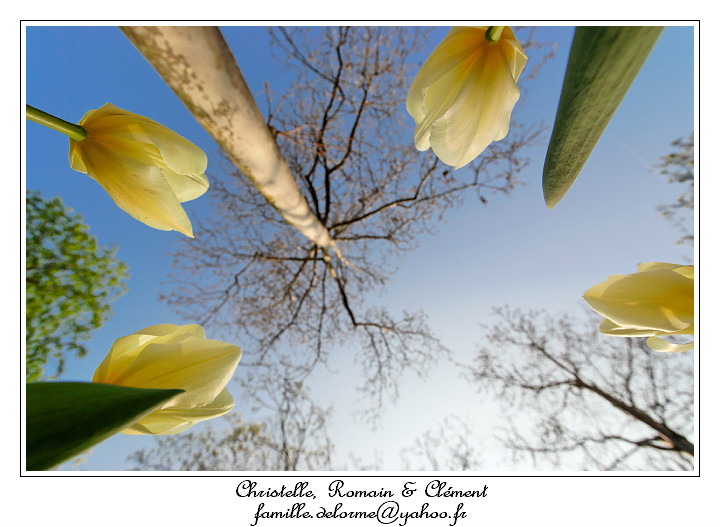 IMG_2646_RD.jpg - Cette photo devrai paraitre dans le prochain Courbevoie magazine!
