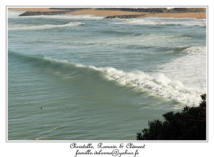 IMG_2205_RD.jpg