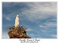 IMG_2177_RD