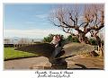 IMG_2196_RD