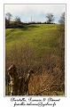 IMG_2247_RD