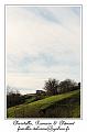 IMG_2260_RD