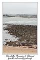 IMG_2076_RD
