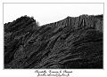 IMG_2079_RD