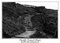 IMG_2081_RD