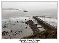 IMG_2087_RD
